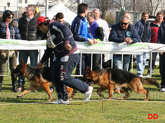 yerom-e-art-antico-maniero.jpg - Juniores maschi Yerom e Art dell'Antico Maniero