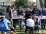 controllo-dentatura