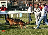 edu-degli-arvali