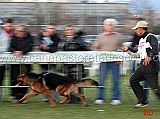 odis-del-colle-antico