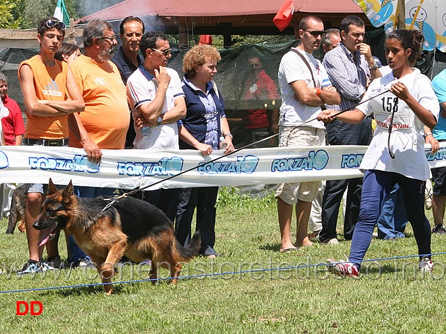 aiko-dell-archetipo.jpg - Cuccioloni maschi Aiko dell'Archetipo