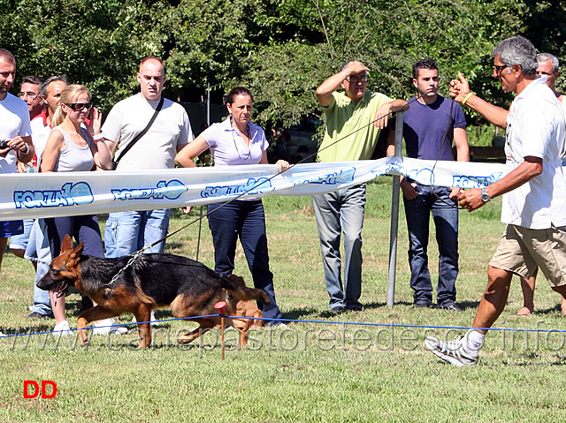 ary-di-casa-vizzato.jpg - Juniores femmine Ary di Casa Vizzato