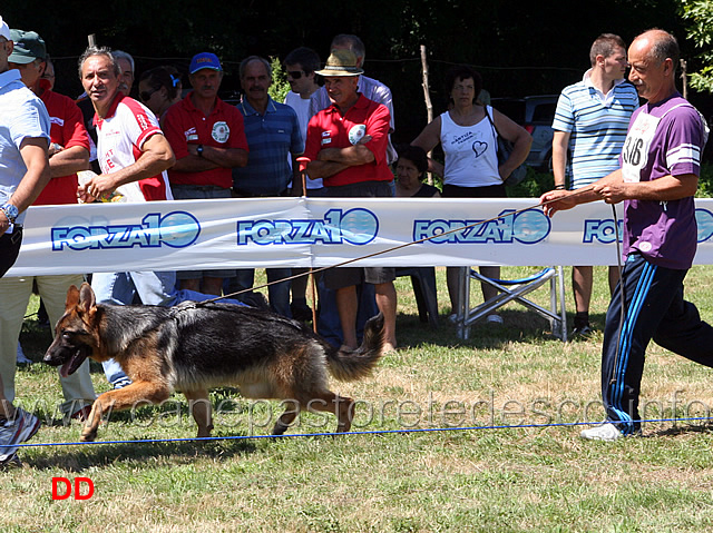 esko-dei-rosacroce.jpg - Juniores maschi Esko dei Rosacroce