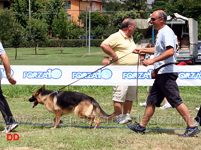 fru-di-casa-parziale.jpg - Giovanissime femmine Fru di Casa Parziale