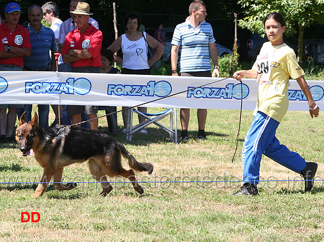 gamon-starke-schloss.jpg - Juniores maschi Gamon von Starke Schloss