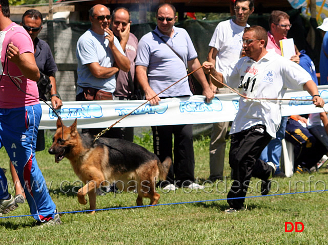 ghera-degli-iapigi.jpg - Cucciolone femmine Ghera degli Iapigi