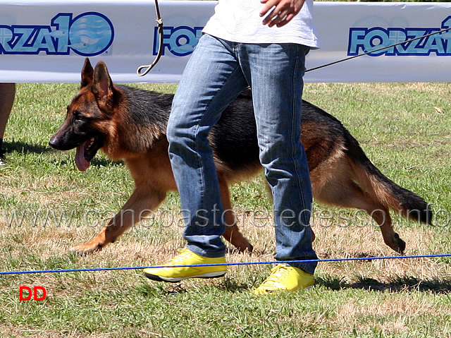 max-degli-iapigi.jpg - Juniores maschi Max degli Japigi