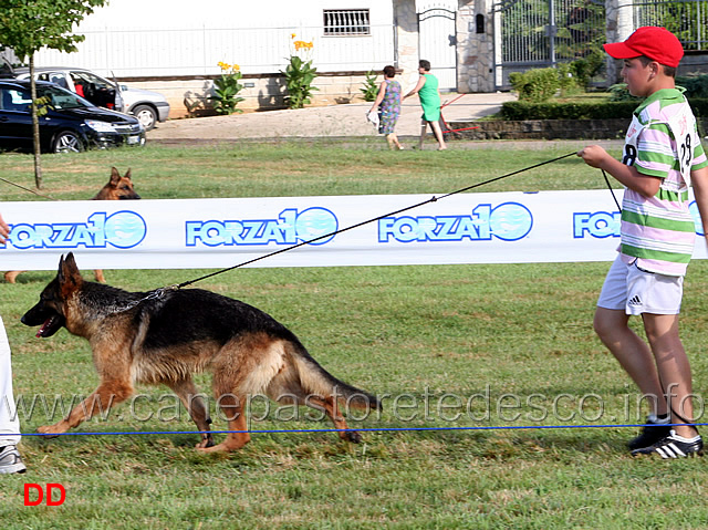 mila-di-casa-gregori-02.jpg - Giovani femmine Mila di Casa Gregori
