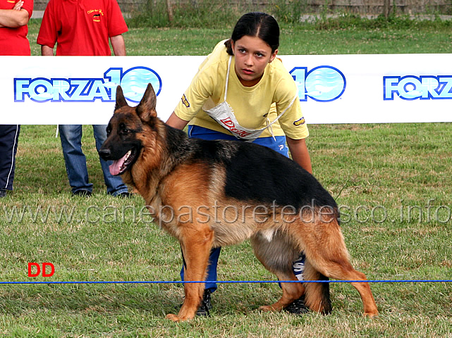 miro-della-valle-del-liri-9MB-giovanissimi-maschi.jpg - Giovanissimi maschi Miro della Valle del Liri 9 MB