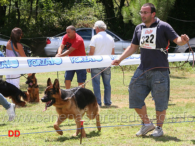 porto-zum-gigelfelsen.jpg - Cuccioloni maschi Porto zum Gigelfelsen