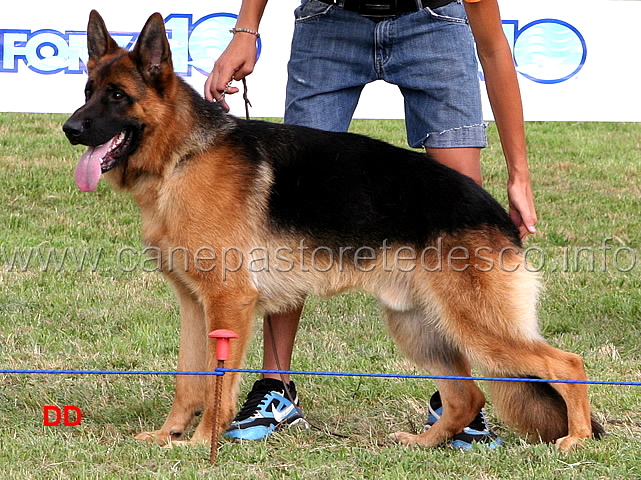 vasco-dei-colli-albani-5MB-giovanissimi-maschi.jpg - Giovanissimi maschi Vasco dei Colli Albani 5 MB