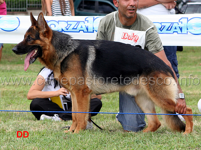 zago-del-timius-3MB-giovanissimi-maschi.jpg - Giovanissimi maschi Zago del Timius 3 MB