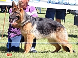 esko-dei-rosacroce-4MP-juniores-maschi