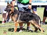 ghero-di-chiara-sorgente-5MP-juniores-maschi