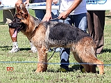 gigo-dell-alta-costa-2MP-juniores-maschi