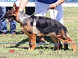 hargo-di-casa-itri-1MP-juniores-maschi-