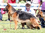 max-degli-iapigi-3MP-juniores-maschi