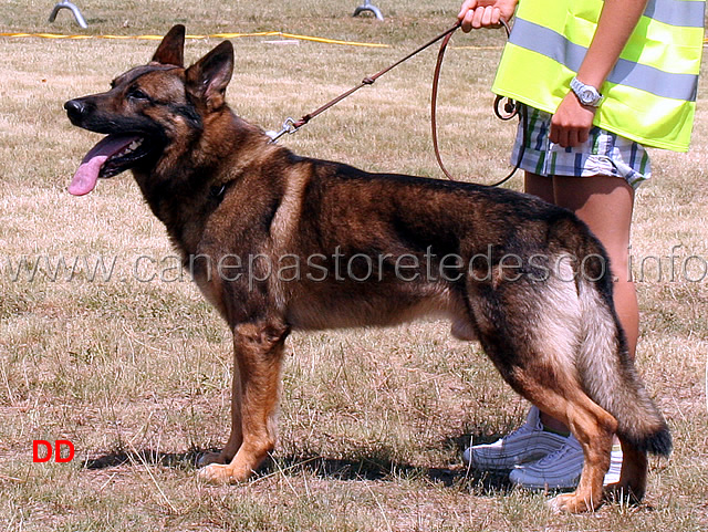 aron-05.jpg - Libera maschi Aron 1 B