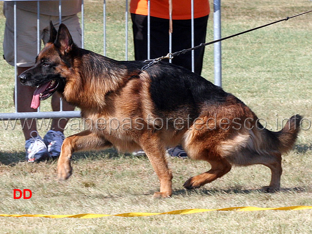jack-del-samengio-02.jpg - Jack del Samengio
