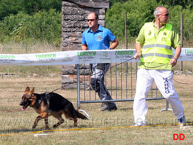 juniores-femmine-kriss-dell-alpe-adria.jpg - Juniores femmine Kriss dell'Alpe Adria