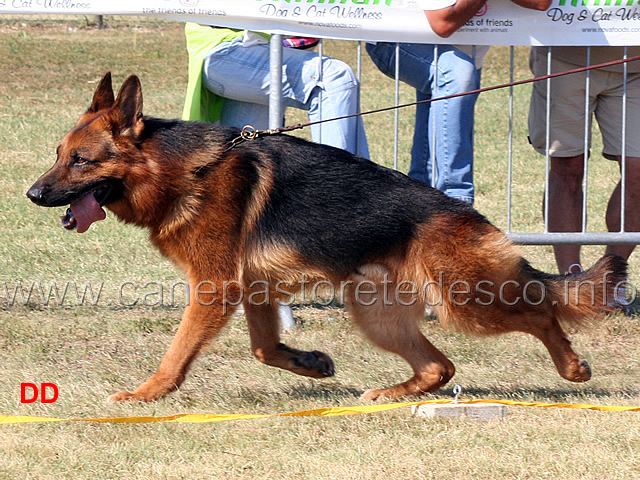 zam-dell-alpe-adria-03.jpg - Zam dell'Alpe Adria