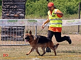 cuccioloni-maschi-ian-von-dax-all-alberone