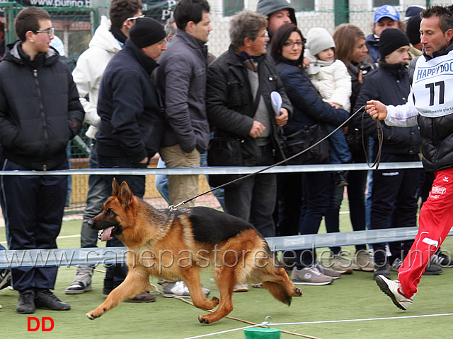 bolla-del-rione-antico-05.jpg - Bolla del Rione Antico 