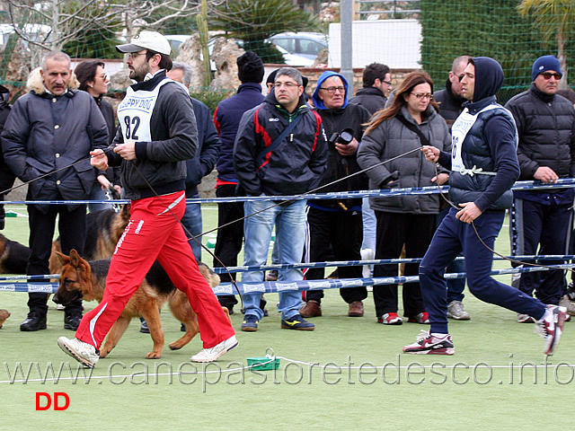 cucciolone-femmine-bessy-delori.jpg - Cucciolone femmine Bessy Delori 