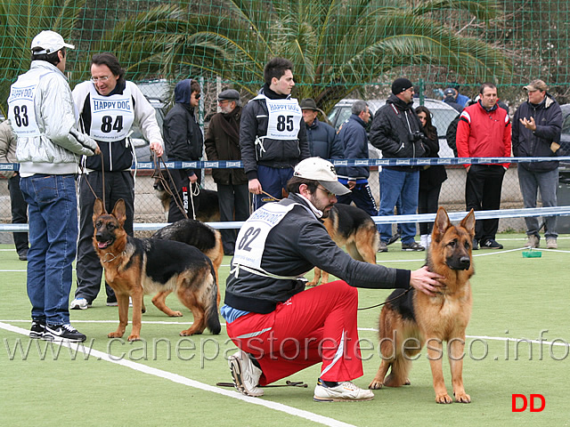 ferme-cucciolone-femmine.jpg - Cucciolone femmine 