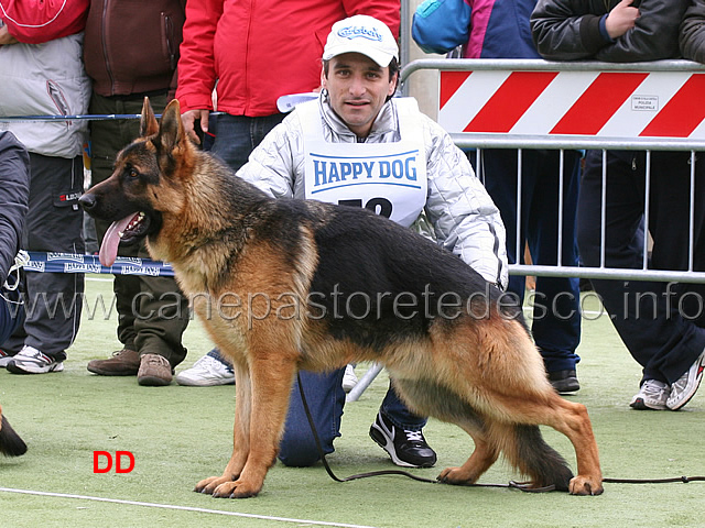 fox-di-ca-san-marco-3mb-cuccioloni-maschi.jpg - Fox di Ca' San Marco 3 MB Cuccioloni maschi 