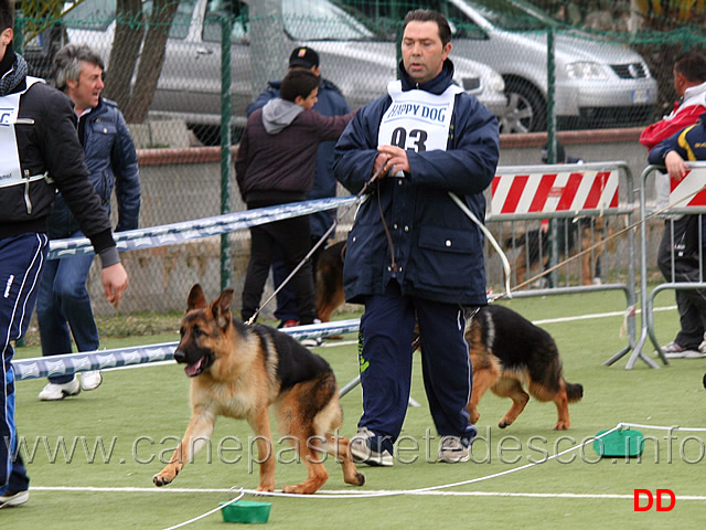 juniores-femmine-diva.jpg - Juniores femmine Diva