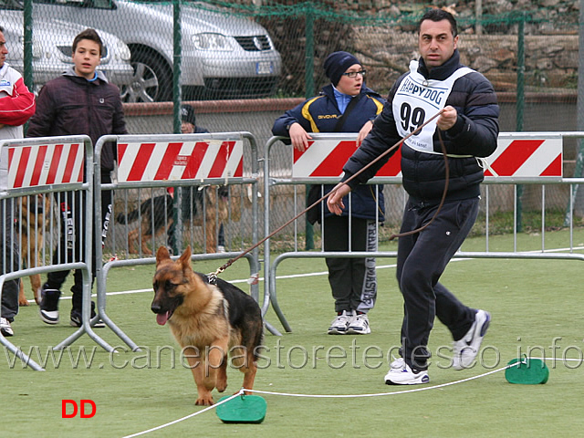 juniores-femmine-mira-di-corte-corona.jpg - Juniores femmine Mira di Corte Corona