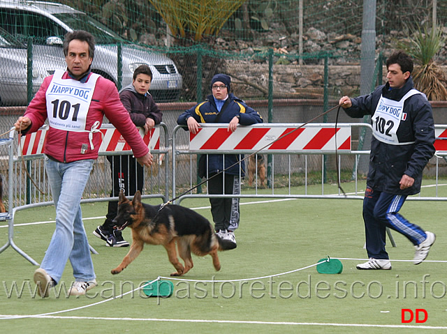 juniores-femmine-simba-dell-alto-pino.jpg - Juniores femmine Simba dell'Alto Pino 