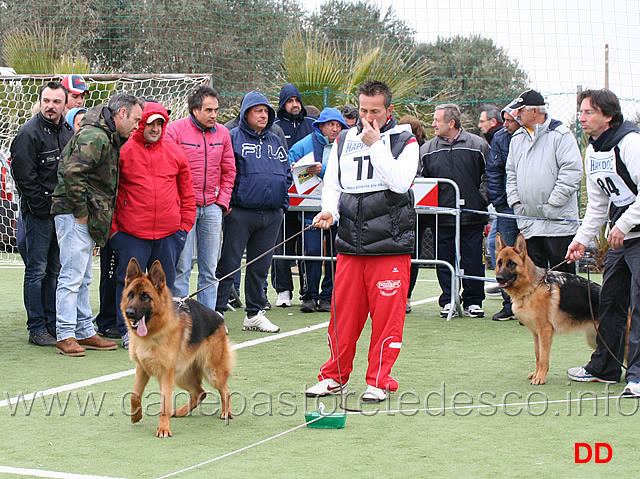 partenza-cucciolone-femmine.jpg - Partenza classe Cucciolone femmine 