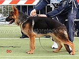 conad-di-ca-de-pace-2mp-juniores-maschi