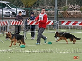 juniores-femmine-messi-di-corte-corona-e-perla-dei-lotito