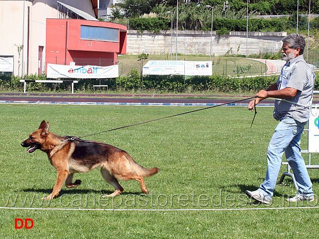 giovani-femmine-joga.jpg - Giovani femmine Joga