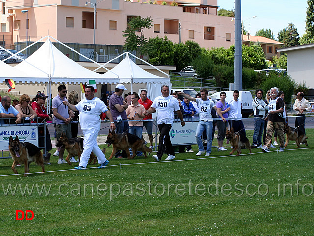 giovanissimi-maschi.jpg - Giovanissimi maschi