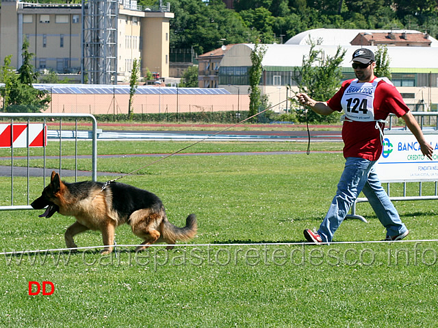 hogan-v-maikhus.jpg - Hogan von Maikhus