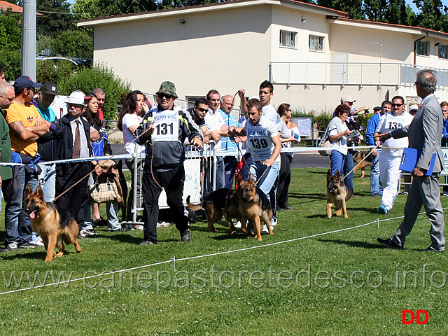 juniores-femmine.jpg - Juniores femmine