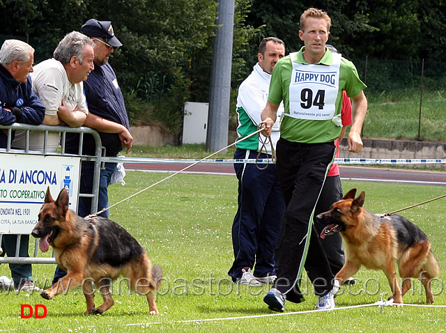 mailika-ulmental-e-nera-blackhof.jpg - Malika d'Ulmental e Nera Blackhof