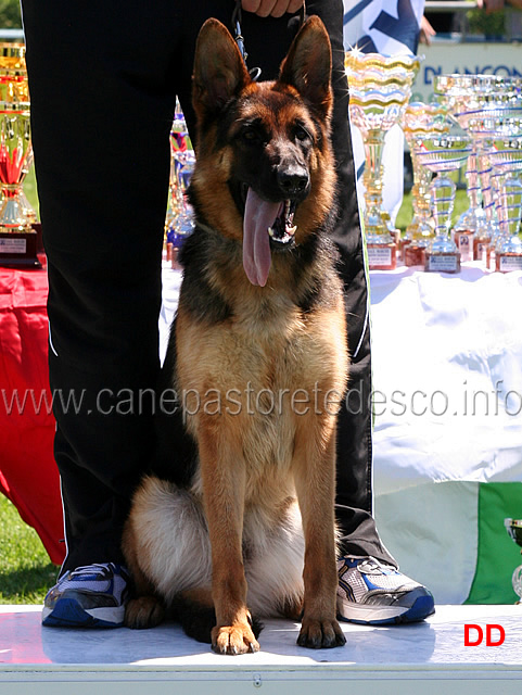 oxana-ulmental-07.jpg - Oxana d'Ulmental 1 MB Cucciolone femmine