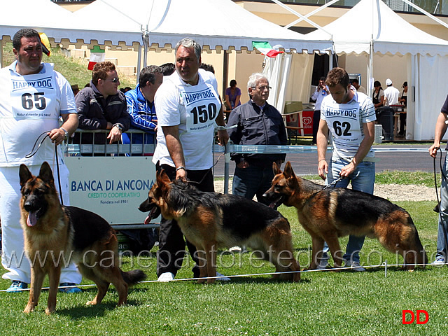 partenza-giovanissimi-maschi-02.jpg - Giovanissimi maschi Vitor Casa Adamo, Quanto della Genia Osca, Canto della Bella Galliana