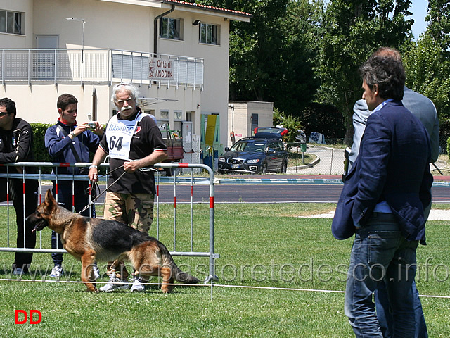 partenza-giovanissimi-maschi-05.jpg - Giovanissimi maschi Pedro dell'Ambra Selvaggia