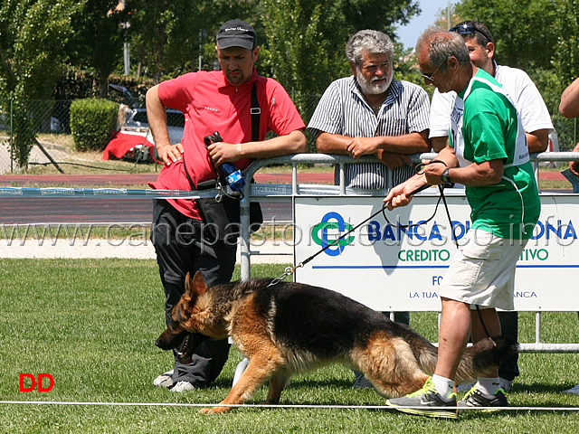 partenza-giovanissimi-maschi-06.jpg - Giovanissimi maschi  Lemon del Settimo Giorno