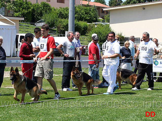 partenza-giovanissimi-maschi.jpg - Giovanissimi maschi Hobby di Casa Josè, Vitor Casa Adamo, Quanto della Genia Osca