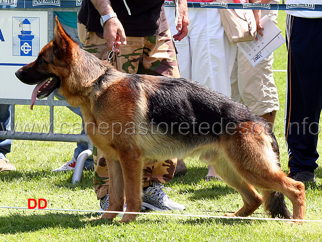pedro-dell-ambra-selvaggia-05.jpg - Pedro dell'Ambra Selvaggia 4  MB Giovanissimi maschi
