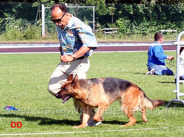 perla-del-colle-guasco-04.jpg - Perla del Colle Guasco