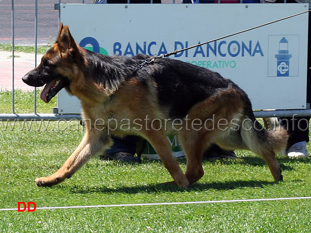 quanto-della-genia-osca-03.jpg - Quanto della Genia Osca