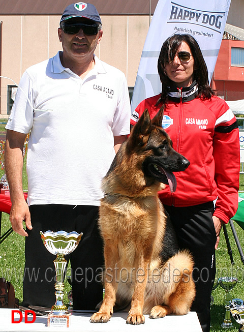 vitor-di-casa-adamo-1mb-giovanissimi-maschi.jpg - Vitor di Casa Adamo 1 MB Giovanissimi maschi